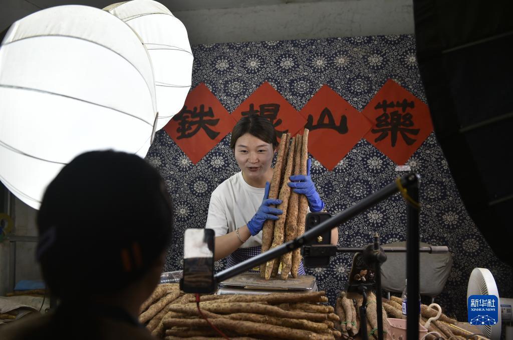 专业电子游艺