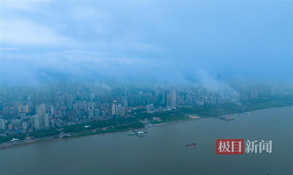 彩金白菜网大全